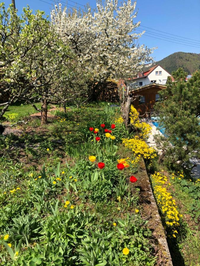 Ferienwohnungen Ries Eusserthal Exterior foto